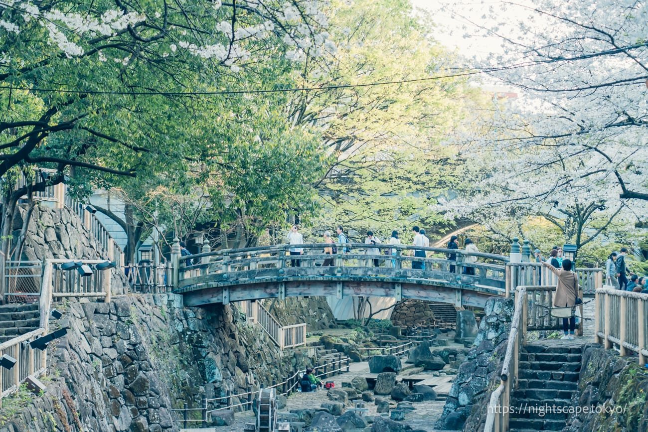 🌳 기타 구립 오토나시 친수공원(키타쿠리츠 오토나시 신스이코우엔) 이미지 8